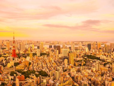 Japonya'da günbatımı zaman şehirde bina mimari ve tokyo kule güzel havadan görünümü