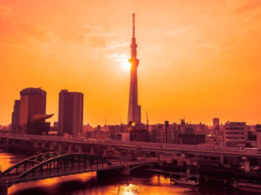 Mimarlık ve yapı tokyo şehir Japonya gündoğumu zaman çevresinde ağaç tokyo gökyüzü ile güzel cityscape