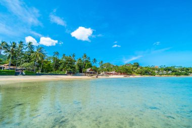 Güzel tropikal plaj deniz ve kum mavi gökyüzü ve beyaz bulut seyahat ve tatil için Hindistan cevizi hurma ağacı ile