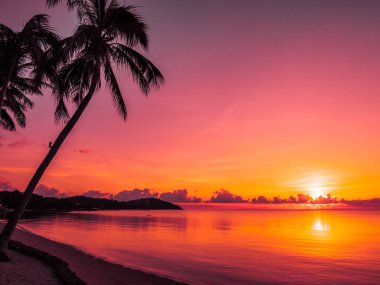 Güzel tropikal plaj deniz ve okyanus ile Hindistan cevizi hurma ağacı gündoğumu zaman seyahat ve tatil için