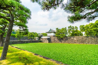 Güzel eski mimari İmparatorluk Sarayı Kalesi hendek ve Tokyo şehir Japonya köprüsünde