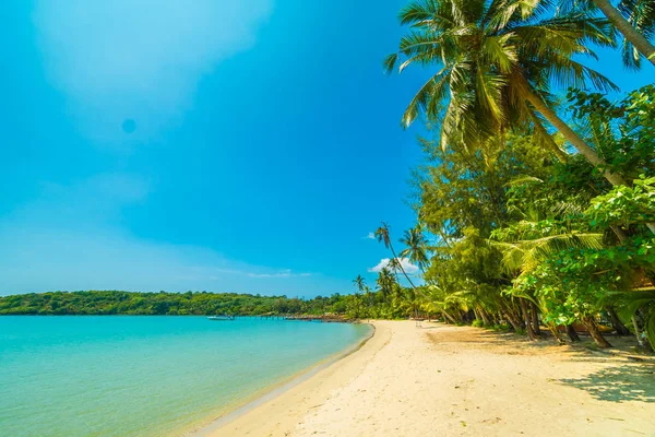 Bela Praia Tropical Mar Com Coqueiro Ilha Paradisíaca Para Viagens — Fotografia de Stock