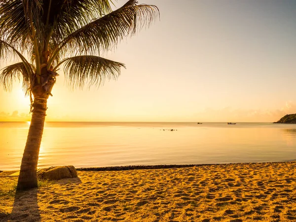 Schöner Tropischer Strand Meer Und Ozean Mit Kokospalmen Bei Sonnenaufgang — Stockfoto