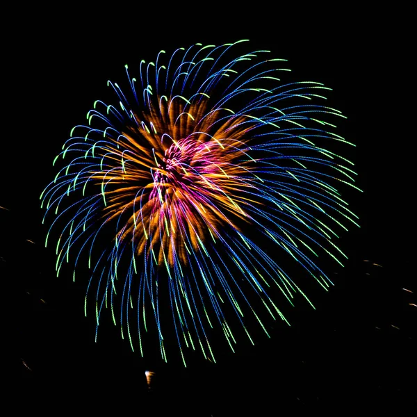 Hermosa Exhibición Fuegos Artificiales Color Cielo Negro Por Noche Para — Foto de Stock