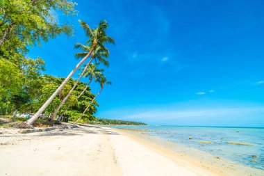 Güzel tropikal plaj deniz ve kum mavi gökyüzü ve beyaz bulut seyahat ve tatil için Hindistan cevizi hurma ağacı ile