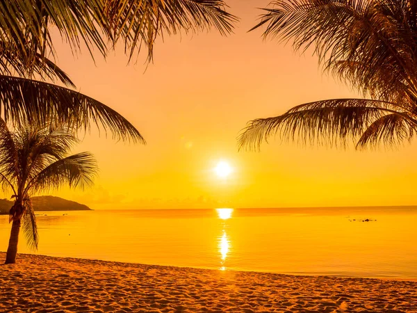 Schöner Tropischer Strand Meer Und Ozean Mit Kokospalmen Bei Sonnenaufgang — Stockfoto