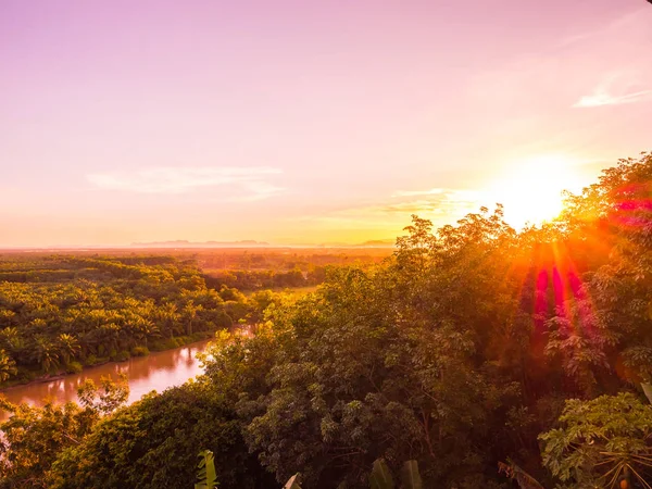 Vackra Flygfoto Med Grön Skogslandskap Twilight Och Solnedgången Tid För — Stockfoto