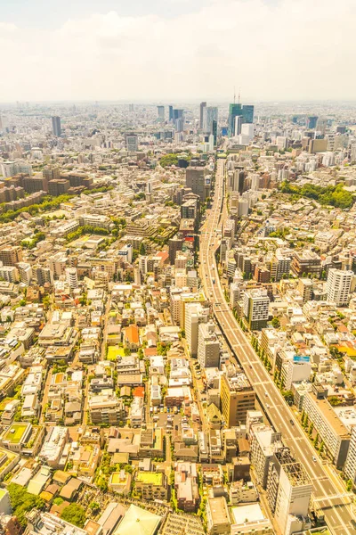 Krásná Architektura Vytváření Panoráma Města Tokio Japonsko — Stock fotografie