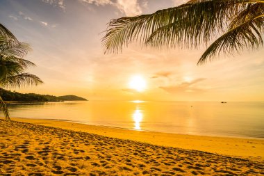 Günbatımı zaman tropik cennet ada plaj ve deniz ile Hindistan cevizi palmiye ağacı üzerinde tatil ve tatil için