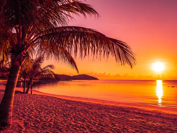 Hermosa Playa Tropical Mar Océano Con Palmera Coco Amanecer Para — Foto de Stock