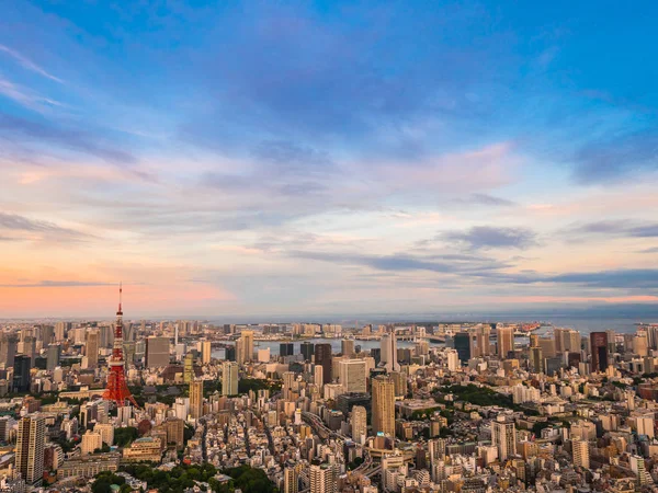 Piękny Widok Lotu Ptaka Architektury Tokio Wieża Budynku Wokół Miasta — Zdjęcie stockowe