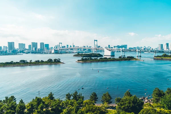 Prachtige Architectuur Bouwen Cityscape Van Stad Tokio Met Brug Van — Stockfoto