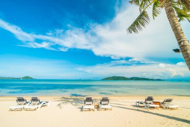 Güzel tropikal plaj ve Hindistan cevizi hurma ağacı ve Cennet Adası sandalyede denize sıfır