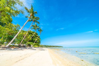 Güzel tropikal plaj deniz ve kum mavi gökyüzü ve beyaz bulut seyahat ve tatil için Hindistan cevizi hurma ağacı ile