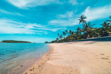 Güzel tropikal plaj deniz ve kum mavi gökyüzü ve beyaz bulut seyahat ve tatil için Hindistan cevizi hurma ağacı ile