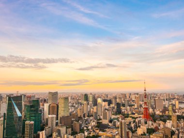 Japonya'da günbatımı zaman şehirde bina mimari ve tokyo kule güzel havadan görünümü