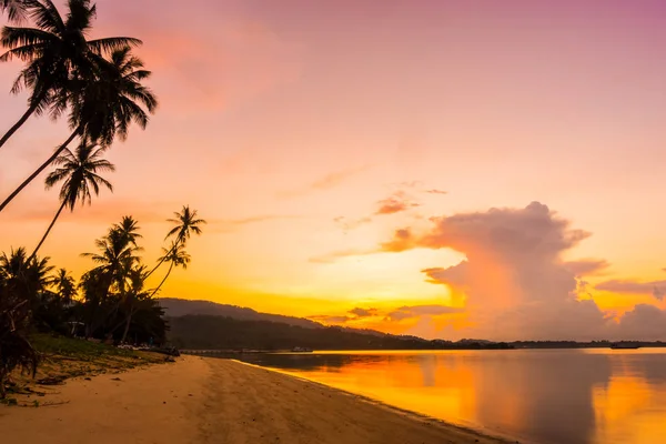 Gyönyörű Szabadtéri Kilátással Beach Parktól Trópusi Kókusz Pálma Napkelte Idő — Stock Fotó