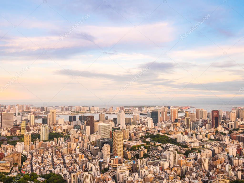 Beautiful Aerial view of architecture and tokyo tower building around city at sunset time in japan