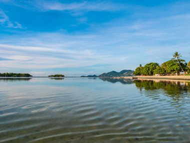 Güzel tropikal plaj ve deniz ile Hindistan cevizi hurma ağacının seyahat ve tatil
