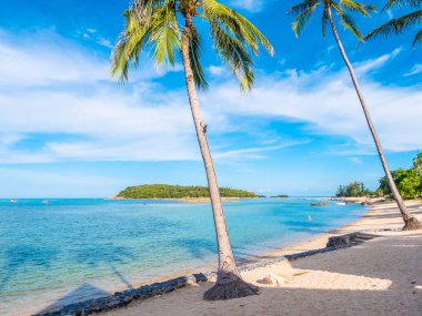 Güzel tropikal plaj ve deniz ile Hindistan cevizi hurma ağacının seyahat ve tatil