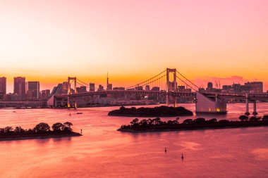Alacakaranlık günbatımı zaman Japonya'nın tokyo şehir Gökkuşağı Köprüsü ile Cityscape bina güzel mimari