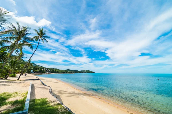 Vacker Tropisk Strand Hav Och Sand Med Coconut Palm Tree — Stockfoto