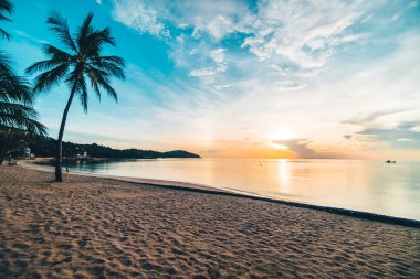 Günbatımı zaman tropik cennet ada plaj ve deniz ile Hindistan cevizi palmiye ağacı üzerinde tatil ve tatil için