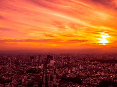 Güzel havadan görünümü, mimari ve günbatımı zaman Japonya'nın tokyo şehir etrafında bina