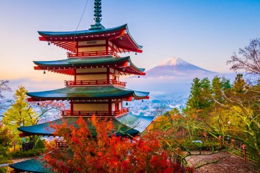 Dağ fuji chureito pagoda akçaağaç ağaç yaprak sonbahar sezonu Yamanashi Japonya çevresinde ile güzel manzara