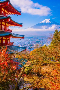Dağ fuji chureito pagoda akçaağaç ağaç yaprak sonbahar sezonu Yamanashi Japonya çevresinde ile güzel manzara