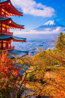 Beautiful landscape of mountain fuji with chureito pagoda around maple leaf tree in autumn season at Yamanashi Japan clipart