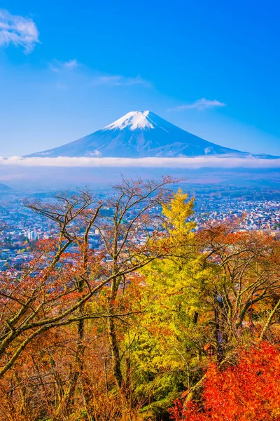 Beautiful landscape of mountain fuji around maple leaf tree with white cloud and blue sky in autumn season at Yamanashi Japan