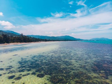 Seyahat ve tatil için adada güzel tropikal plaj ve deniz ağaçları ile havadan görünümü