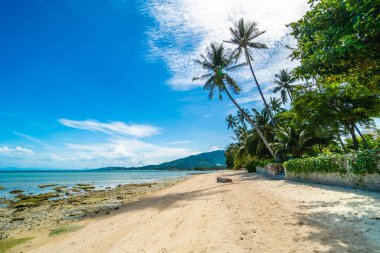 Güzel tropikal plaj deniz ve kum mavi gökyüzü ve beyaz bulut seyahat ve tatil için Hindistan cevizi hurma ağacı ile