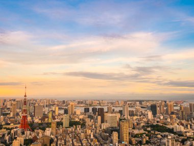 Japonya'da günbatımı zaman şehirde bina mimari ve tokyo kule güzel havadan görünümü