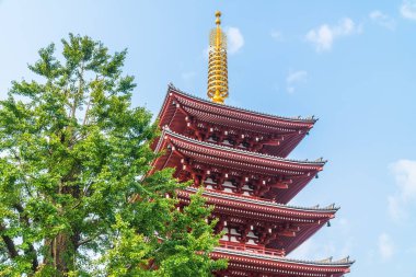 Güzel mimari Sensoji Tapınağı inşa ünlü ziyaret asakusa alan tokyo Japonya için yerdir