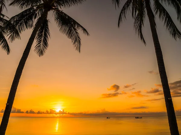 Güzel tropikal plaj deniz ve okyanus ile Hindistan cevizi hurma ağacı gündoğumu zaman seyahat ve tatil için
