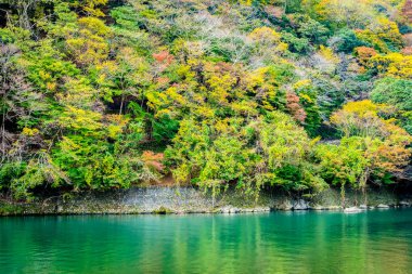 Akçaağaç ağaç yaprak ve sonbahar sezonu Kyoto Japonya göl etrafında tekne ile güzel Arashiyama Nehri