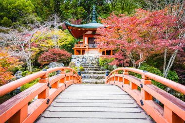 Renkli ağaç ve yaprak sonbahar sezonu Kyoto Japonya ile güzel Daigoji Tapınağı