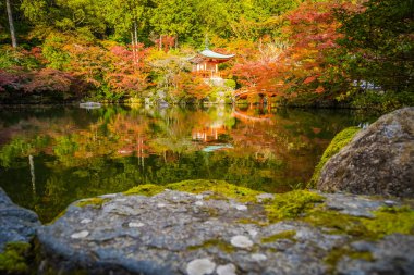 Renkli ağaç ve yaprak sonbahar sezonu Kyoto Japonya ile güzel Daigoji Tapınağı