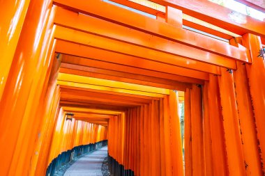 Güzel fushimi Inari tapınak tapınak Kyoto Japonya'da
