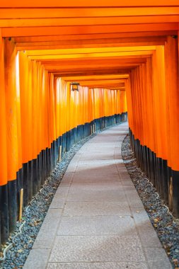 Güzel fushimi Inari tapınak tapınak Kyoto Japonya'da
