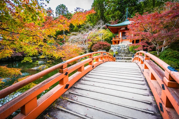 Renkli Ağaç Yaprak Sonbahar Sezonu Kyoto Japonya Ile Güzel Daigoji — Stok fotoğraf