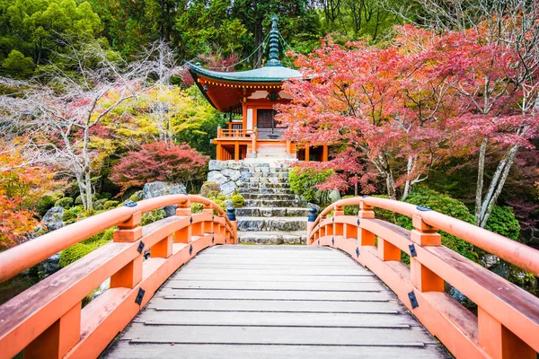 Belo Templo Daigoji Com Árvore Colorida Folha Temporada Outono Kyoto — Fotografia de Stock