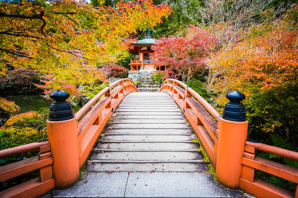 Beautiful Daigoji temple with colorful tree and leaf in autumn season Kyoto Japan