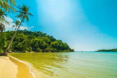 Güzel tropikal plaj ve deniz paradise Island Seyahat ve tatil için Hindistan cevizi hurma ağacı