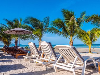 Şemsiye ve sandalyenin üstüne Hindistan cevizi hurma ağacının seyahat ve tatil etrafında mavi gökyüzü ile plaj ve okyanus