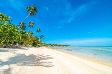 Güzel tropikal plaj deniz ve kum mavi gökyüzü ve beyaz bulut seyahat ve tatil için Hindistan cevizi hurma ağacı ile