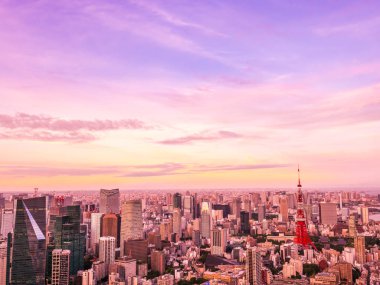 Japonya'da günbatımı zaman şehirde bina mimari ve tokyo kule güzel havadan görünümü
