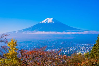 Güzel manzara dağ fuji akçaağaç yaprağı ağaç beyaz bulut ve Yamanashi Japonya sonbahar sezonu mavi gökyüzü ile çevresinde
